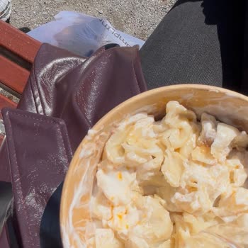 Sinop Mantısında Ceviz Yok, Paket Serviste Mantıların Yapışması Ve Porsiyon Farkı