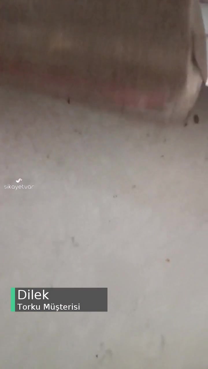 Torku Çikolatalar Kötü Çıktı! videonun kapak resmi