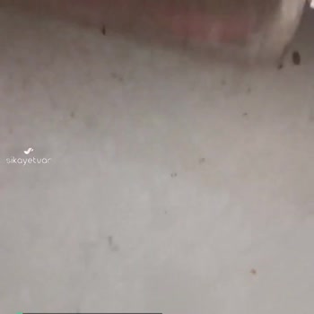 Torku Çikolatalar Kötü Çıktı!