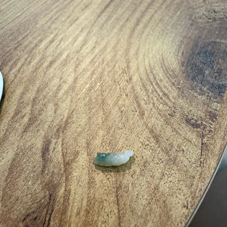 Trendyol GO’da Hijyen İhlali, Pilavda Yabancı Nesne Ve Yorum Engellendi