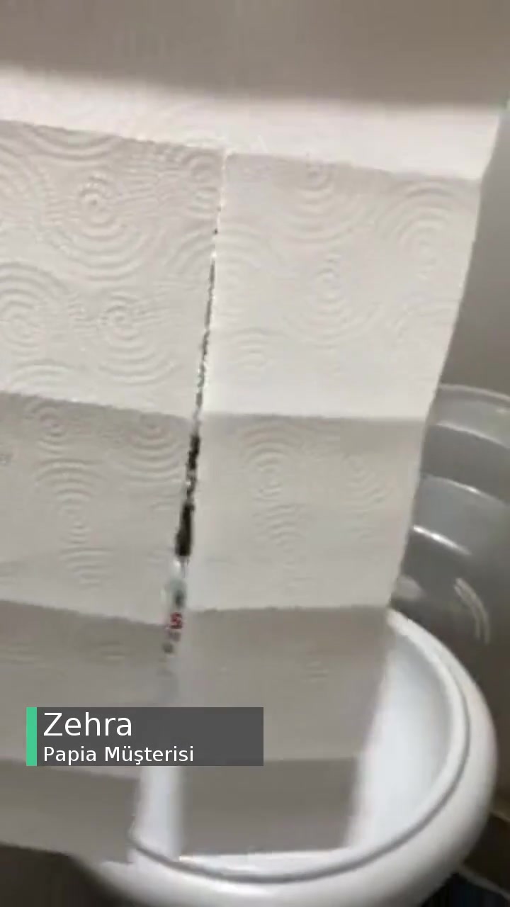 Papia Havlu Kağıt Yırtık videonun kapak resmi