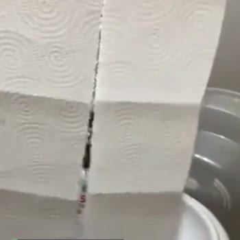 Papia Havlu Kağıt Yırtık
