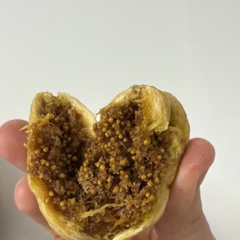 Yanıltıcı İncir Görselleri Ve Kalitesiz Ürün Nedeniyle Cevapsız İade Talebi