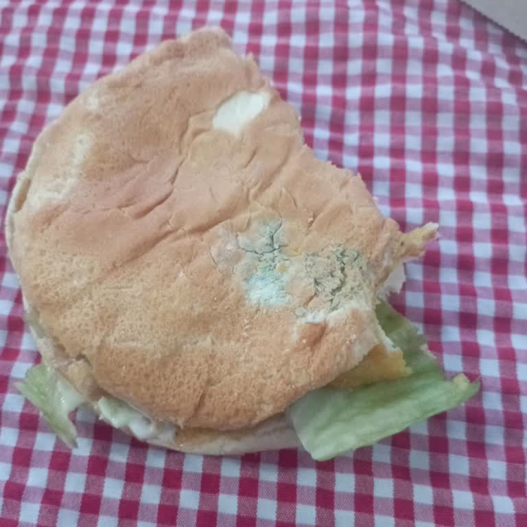 Burger King Hamburger Ekmeği Küflü Ve Bayat Geldi; Ücret İadesi Talep Ediliyor