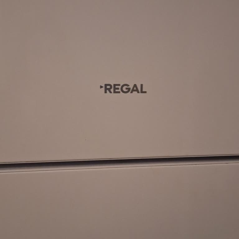 Regal Buzdolabında Soğutma Sorunu Ve Yanıt Almayan Garanti Servisi