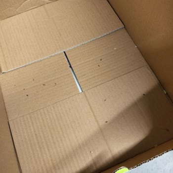 A101 Mağazasında Hijyen İhlali: Çöplerden Toplanan Ekmek Ve Fare Pislikleri