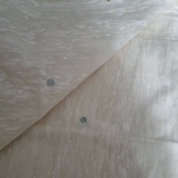 Küflü Yufka Ürünü Sağlık Riski Ve Depolama Hatası