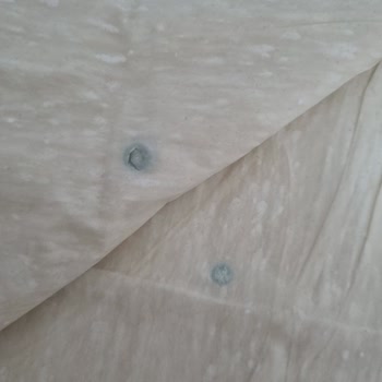 Küflü Yufka Ürünü Sağlık Riski Ve Depolama Hatası