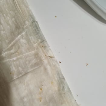 Küflü Yufka Ürünü Sağlık Riski Ve Depolama Hatası