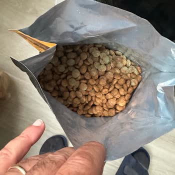 Mutamin Mama'dan Küflü Köpek Maması: İade Talebi Ve Cevapsız Şikayet