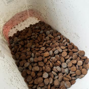 Mutamin Mama'dan Küflü Köpek Maması: İade Talebi Ve Cevapsız Şikayet