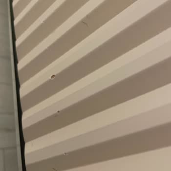 Modalife’den Gelen Kırık Ürünler Ve Servis Eksikliği