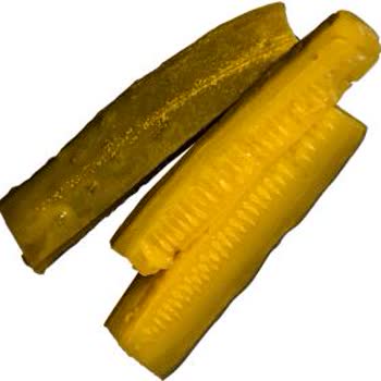 Bionluk'ta Alakasız Ve Kalitesiz 3D Model Teslimi