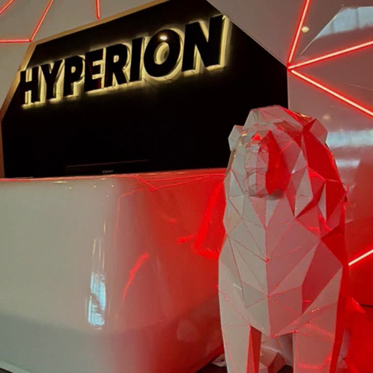 Planlanan Muay Thai Derslerinin Sürekli İptali Ve İletişim Sorunları