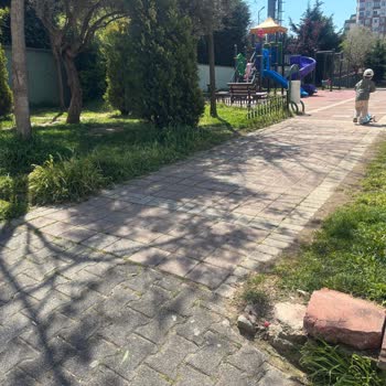 Zümrütevler Merkez Camii Parkında Güvenli Giriş Kapısı Ve Ek Salıncak Talebi