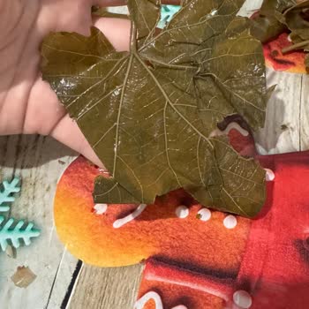 Migros Kaş Şubesinde Bozuk Salamura Yaprakları Satışı Ve Tam İade İsteği