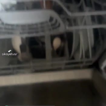 Bosch Marka 6 Programlı Bulaşık Makinesi Sıkıntısı!