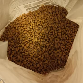 Hepsiburada Sahte Kedi Maması Ve Geri İade Talebi