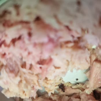 Dardanel Ton Balığında Hamamböceği Yavrusu Tespit Edildi