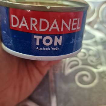 Dardanel Ton Balığında Hamamböceği Yavrusu Tespit Edildi