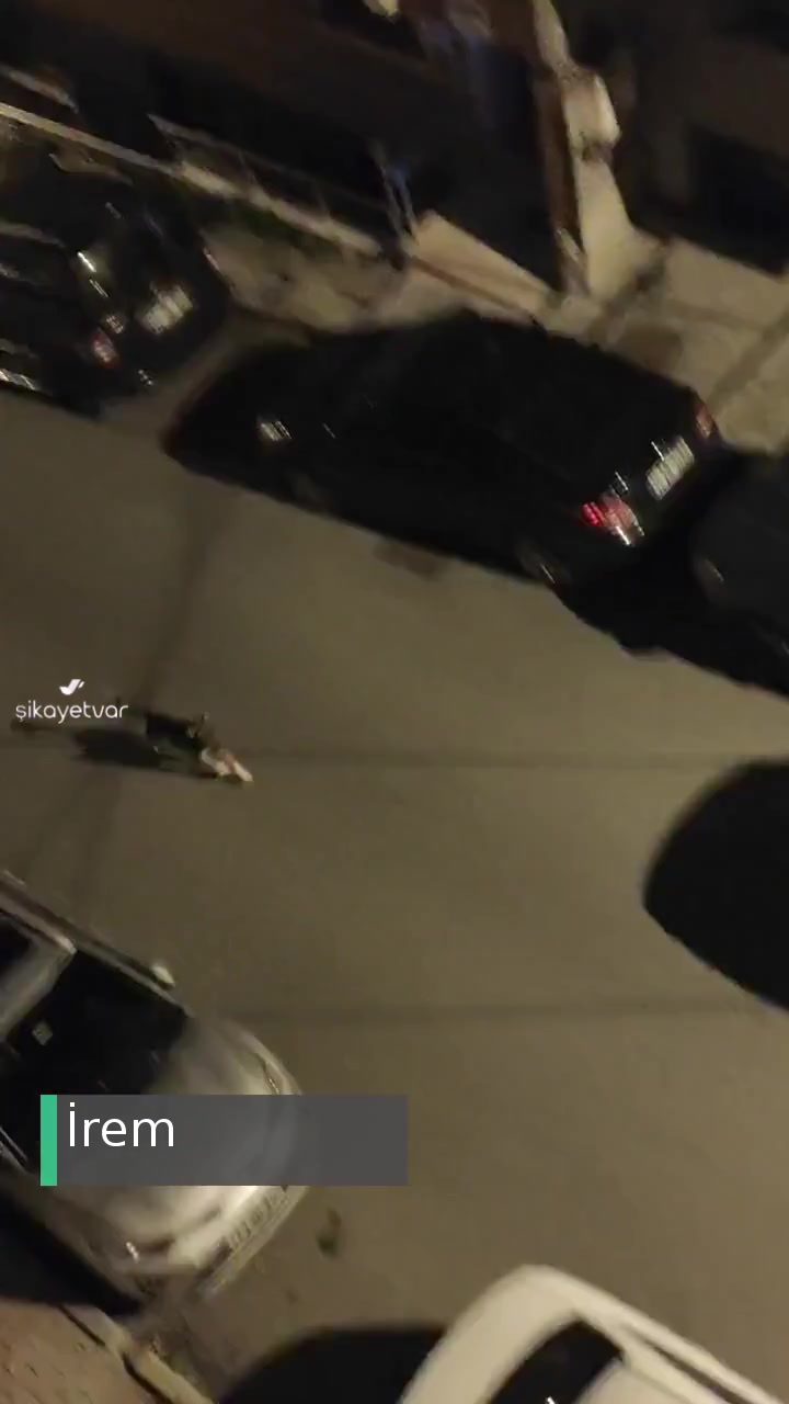 İstanbul Büyükşehir Belediyesi Saldırgan Köpek Sürüsü videonun kapak resmi