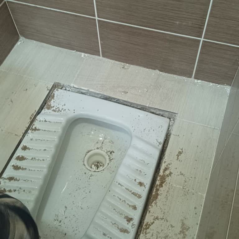 Tam Kapsamlı Ev Sigortam Haksız Red: Fayans Kırılmadığı Gerekçesi