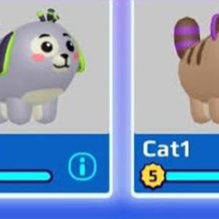 2019 Kedilerim Ve Köpeklerim Hesabımda Görünmüyor