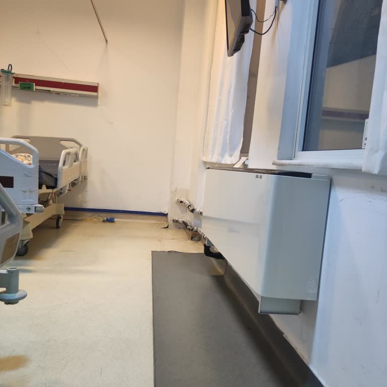 Kadıköy Rıhtım Caddesi’nde Efe Tur Şoförünün Aşırı Korna Kullanımı