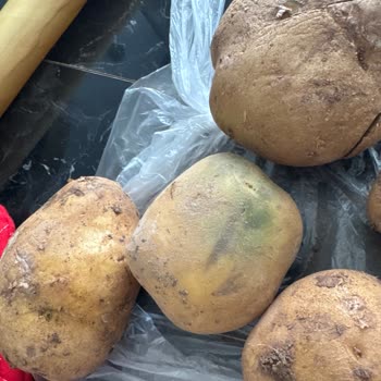 Ordu Migros Hemen Siparişindeki Bozuk Patatesler İçin İade İsteği