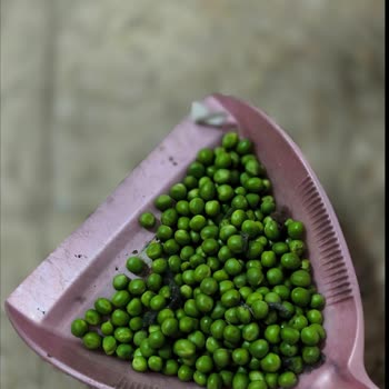 Protex Buzdolabı Poşetlerinde Sızıntı Ve İade Talebi