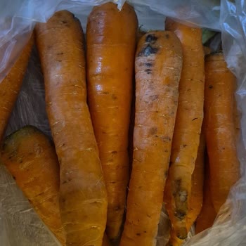 Migros Online Siparişinde Bozuk Ürün Ve Sinekler, Sağlık Riski Ve 4 Gün Geri Dönüş Yok