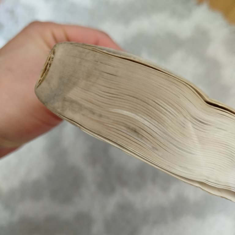 Su Dolu Kargo Paketi Kitap Hasarı Ve İade Talebi