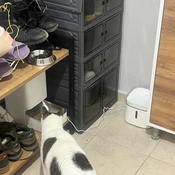 Xiaomi Pet Fountain Yedek Filtre Temin Edilemiyor