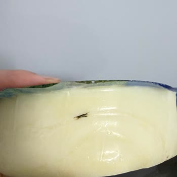 BİM Kağıthane Şubesinde Taze Kaşar Peyniri Bozulmuş, Sağlık Endişesi
