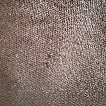 Massimo Dutti Hırkasında Sırt Delik Sorunu Kullanıcı Hatası Olarak Reddi