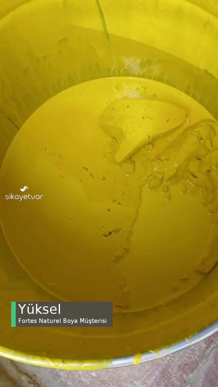 Fortes Natural Boyalar Bozuk! videonun kapak resmi