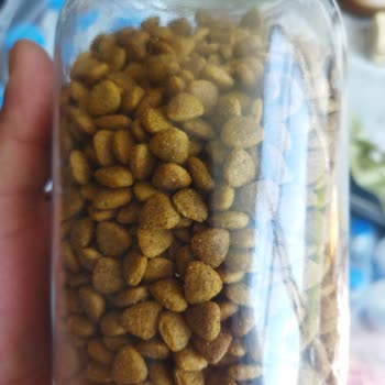 Hera Petshop'ta Açık Paket Pro Plan Kedi Maması Sahte