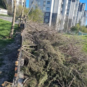 Kayaşehir Parkı'nda Bırakılan Ağaç Dalları Ve Molozları Çevre Kirliliği Ve Yangın Riski Oluşturuyor