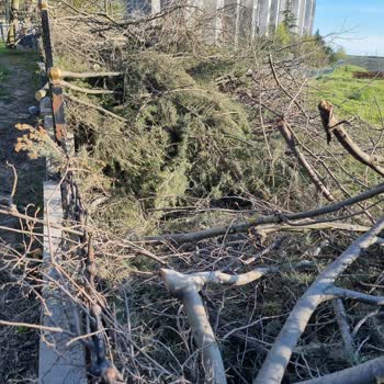 Kayaşehir Parkı'nda Bırakılan Ağaç Dalları Ve Molozları Çevre Kirliliği Ve Yangın Riski Oluşturuyor