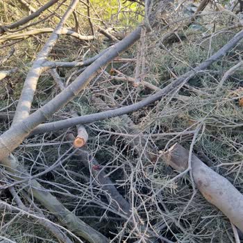 Kayaşehir Parkı'nda Bırakılan Ağaç Dalları Ve Molozları Çevre Kirliliği Ve Yangın Riski Oluşturuyor