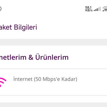 Genel Arıza Sonrası Tek Dairede Sürekli Kesinti Ve Hız Düşüşü