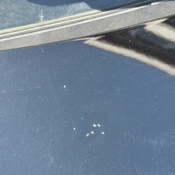 Araç Durumu Yanıltıldı, Yol Masrafı Ve Zaman Kaybı Telafi Edilmeli