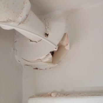 İzin Almadan Daireye Giriş Ve Duvar Hasarıyla Yarım Kalan Fiber Kurulumu