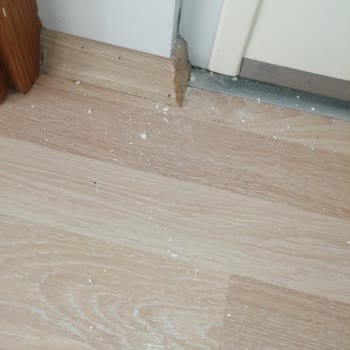 İzin Almadan Daireye Giriş Ve Duvar Hasarıyla Yarım Kalan Fiber Kurulumu