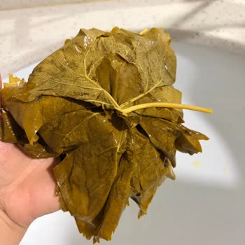 Yanıltıcı Sipariş Fazla Su Ve Az Yaprak İçeren Ürün İçin Tam İade Talebi