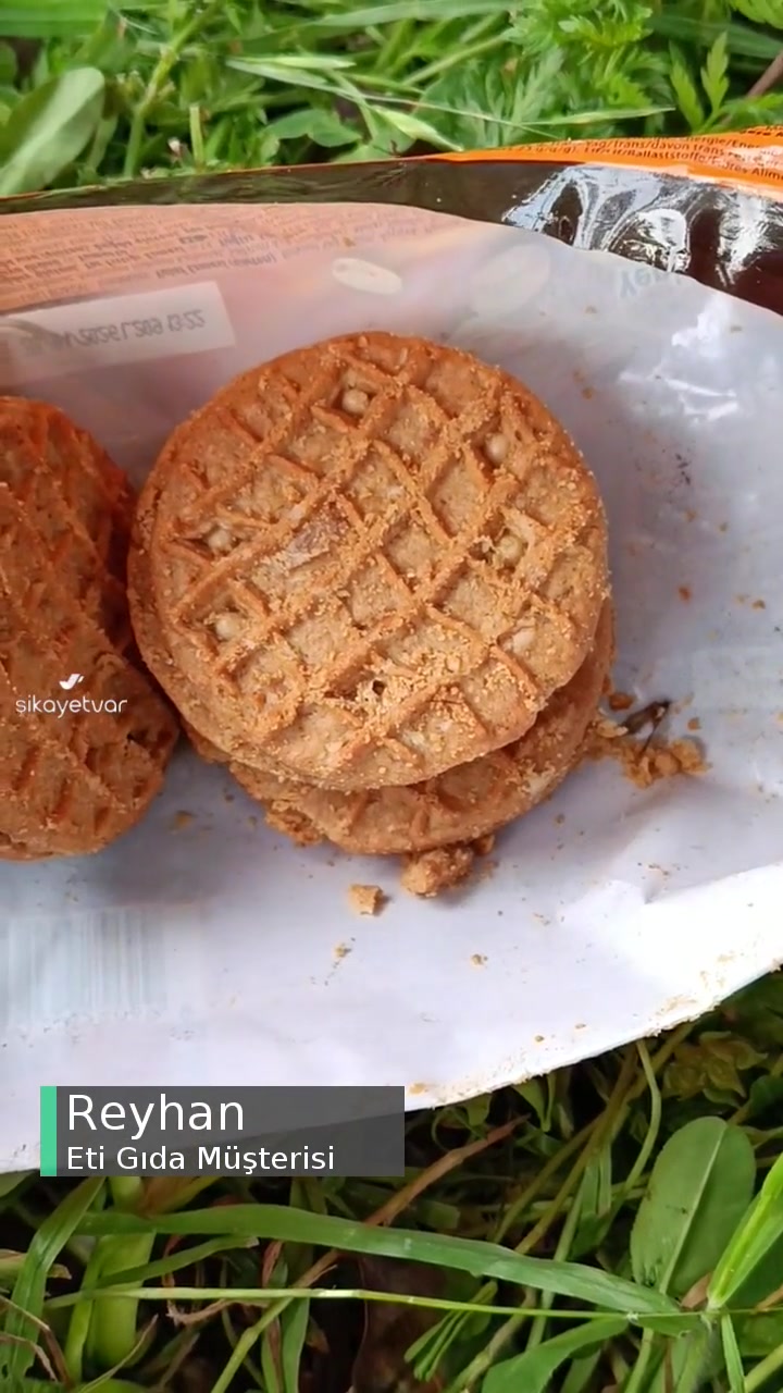 Eti Ürünün Son Kullanma Tarihi Geçmemiş Kelebek Ölüsü Ve Koza Oluşmuş! videonun kapak resmi