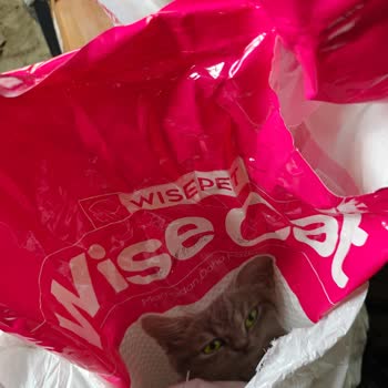 Wise Cat Etli Yetişkin Kedi Maması Sokak Kedileri Tarafından Tüketilmedi