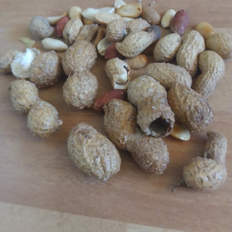 Şok Mağazasında Kabuklu Fıstık Kalitesizliği Ve Online Stok Sorunları