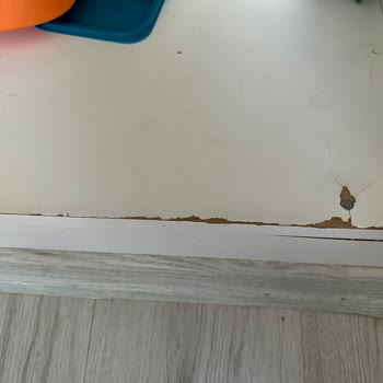 Tekrarlayan Vestel Termosifon Arızaları, Uzun Servis Bekleyişi Ve Maddi Zarar