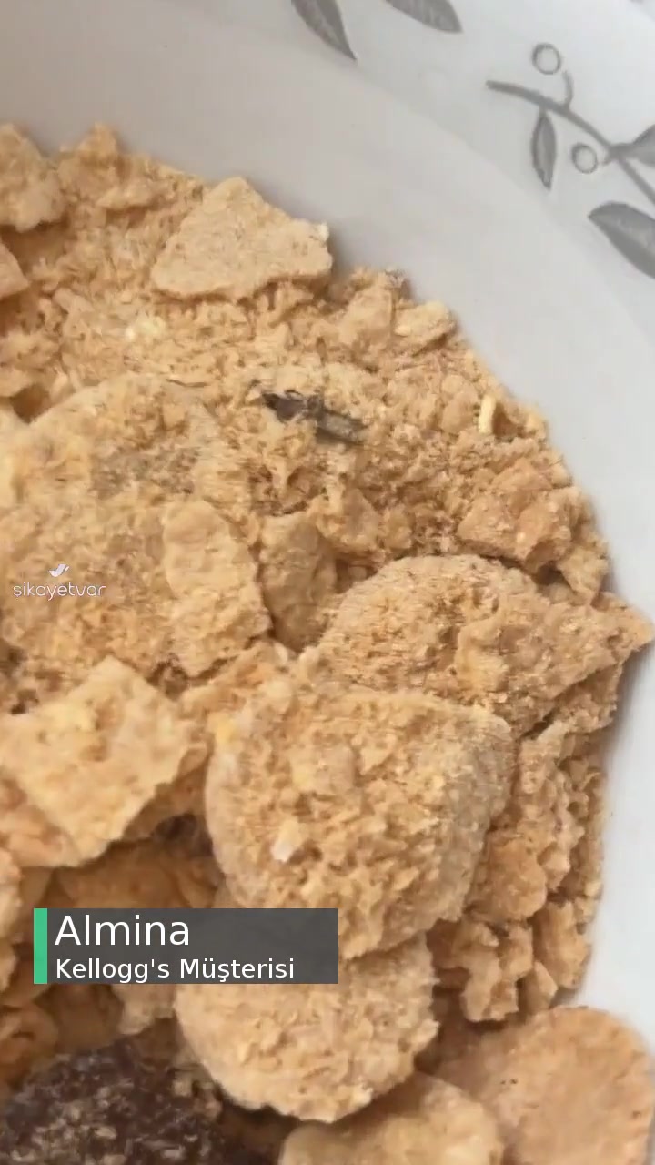 Kellogg's'tan Böcek Çıktı! videonun kapak resmi